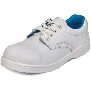RAVEN S2 SRC pantofi