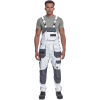 alb
