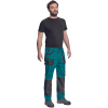 verde/negru