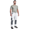 alb
