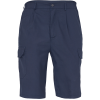bleumarin
