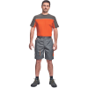 DESMAN scampolo 2