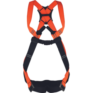 CERVA AQUILA 3 harness